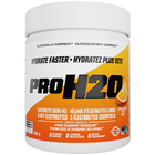 PVL PROH2O Electrolyte Mix, 255 g Orange packaging