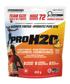 PVL PROH2O Electrolyte Mix, 612 g Peach Mango Smash packaging