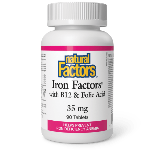 Natural Factors Iron Factors 35 mg — 90 Tablets